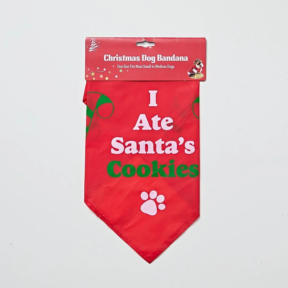 Fantasias de Natal para pets