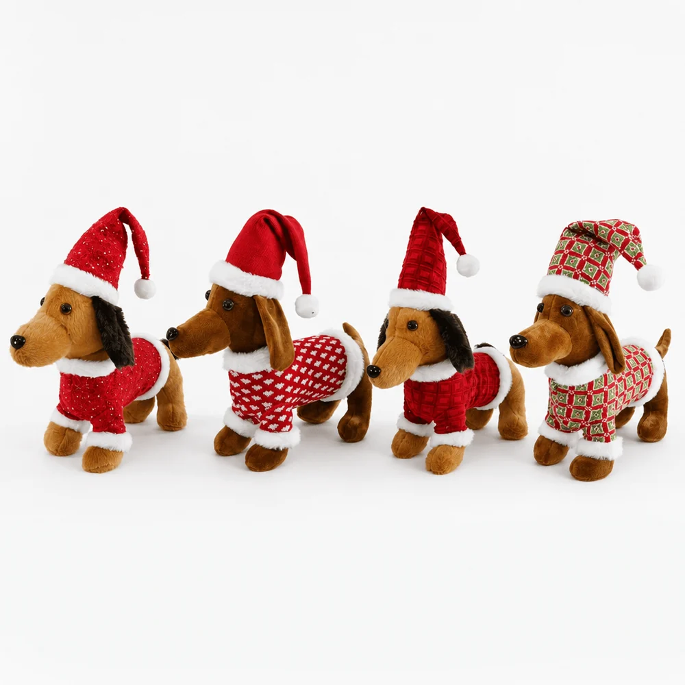 Dachshund de Natal (38cm)