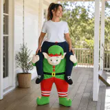 Fantasia de Elfo Carry Me