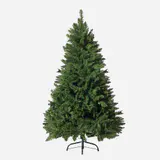 Pinheiro Radiata 5ft (1.5m)